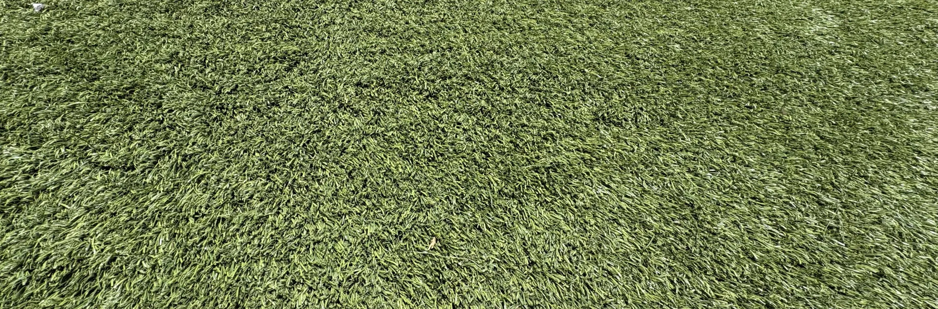 close up of artificial turf