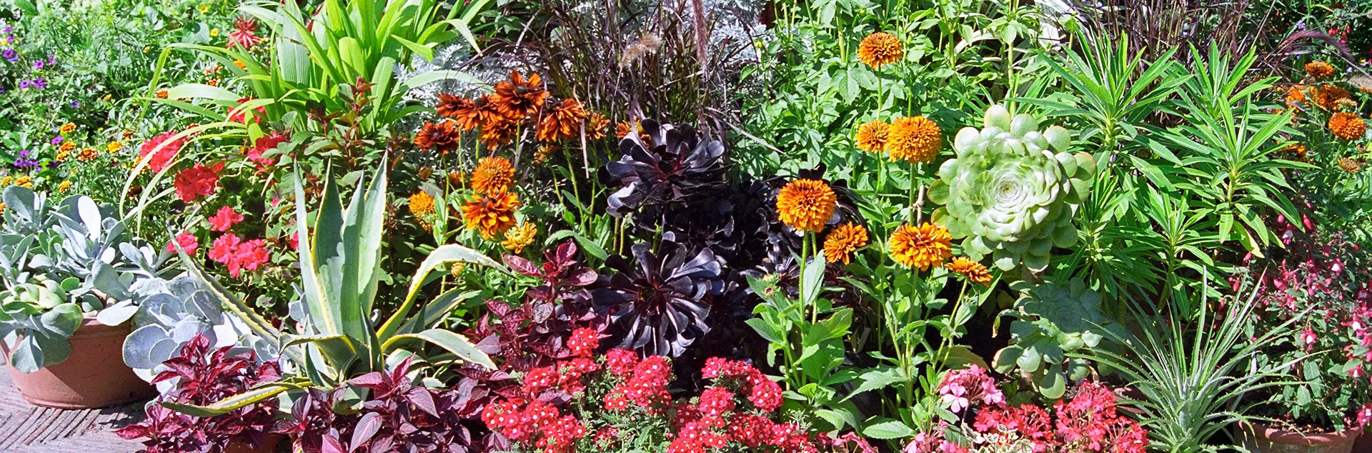 container gardening for all seasons