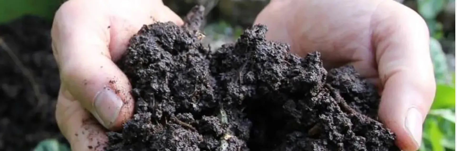 hands holding finished compost-banner-ucanr.edu
