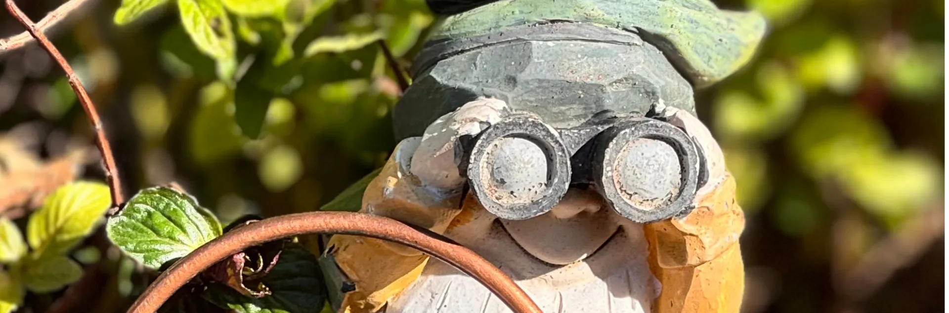 a miniature figurine with binoculars peeks out of a plant