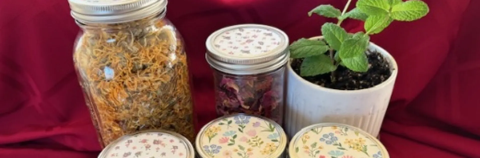 Botanical body scrubs