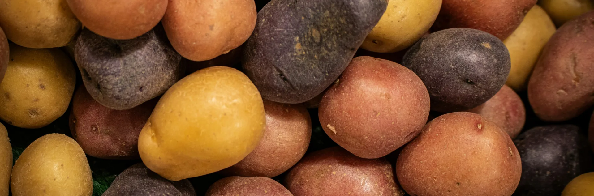 a pile of potatoes in multiple colors