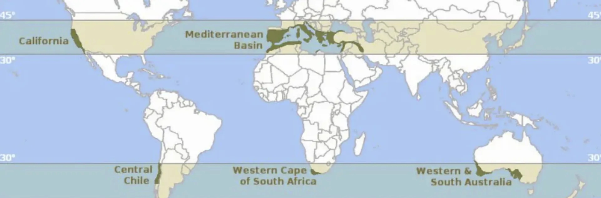 Map of the Mediterrean Climate areas 