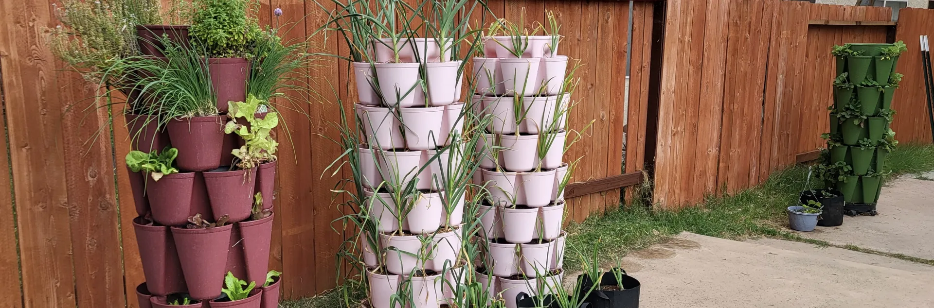 Los Banos backyard vegetable garden with 4 tower/vertical planting systems and 4 grow bags