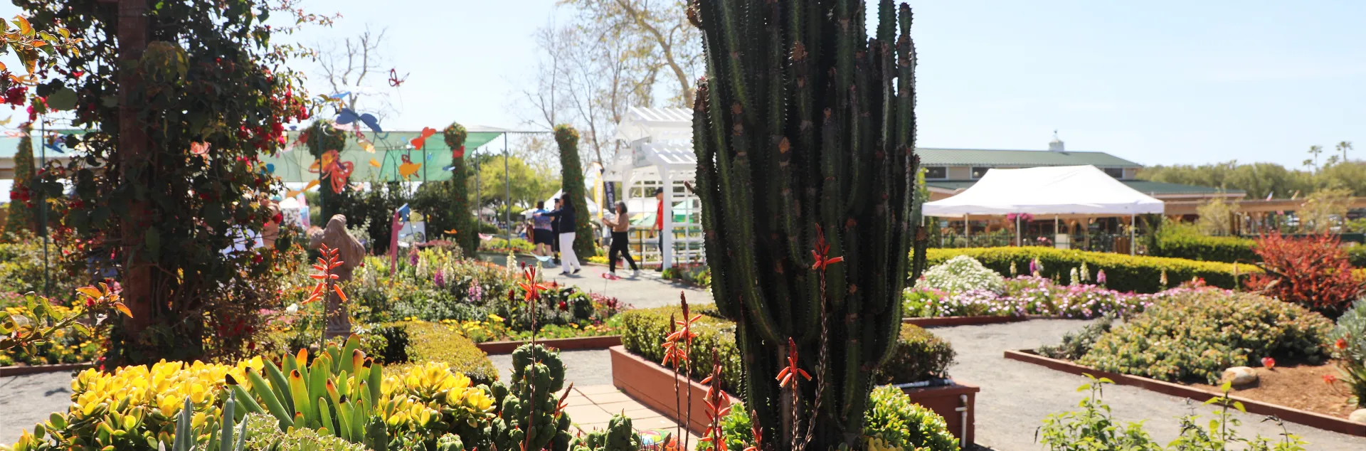 Garden at the Carlsbad Flower Fields
