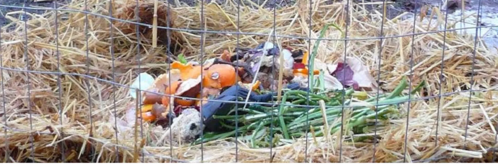 compost pile enclosed with chicken wire