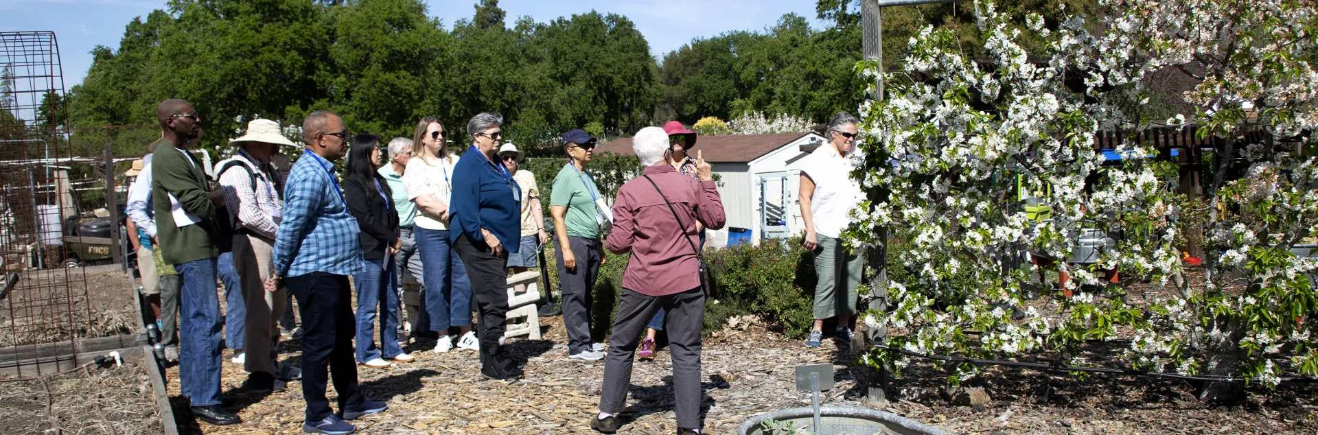 A group of people observe flowering shrubs as someone speaks to the group