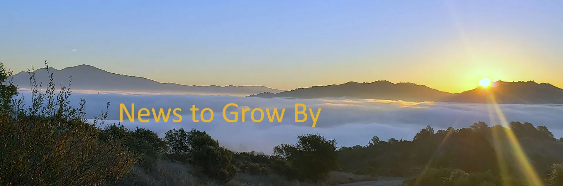 News to Grow Banner with colored text