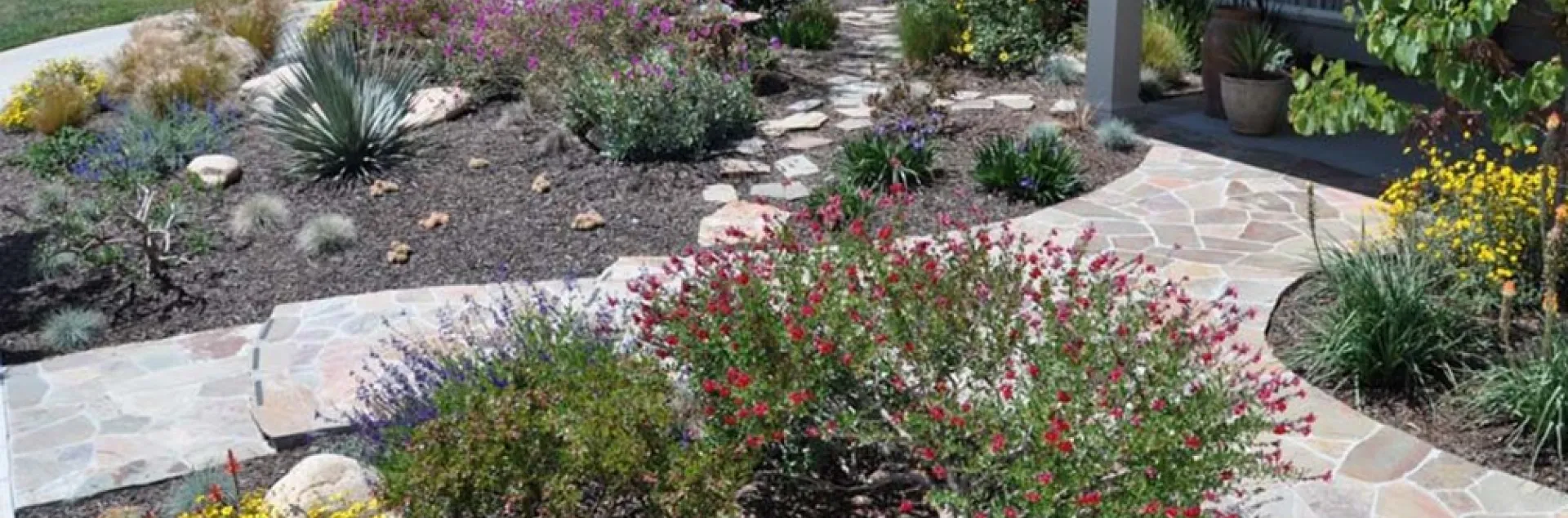 Fire-smart residential landscape with drought-tolerant plants