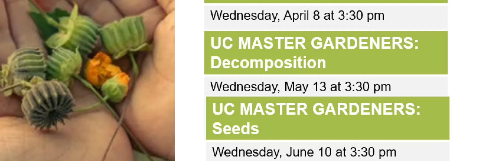 Closeup of child's hands holding green flowerbuds. Next to it, the words "Poway Library STEAM Kids Wednesdays 3:30 pm. UC Master Gardeners, Healthy Soils, April 8, Decomposition May 13, Seeds June 10. Learn how to become a master gardener with the UC Master Gardeners of San Diego County!" Below are the logos of UCANR Master Gardeners, Master Gardener Association of San DIego County, County of San DIego Library "Sdcl.org/poway Poway Library 13137 Poway Rd. Poway, CA 92064 858-513-2900"