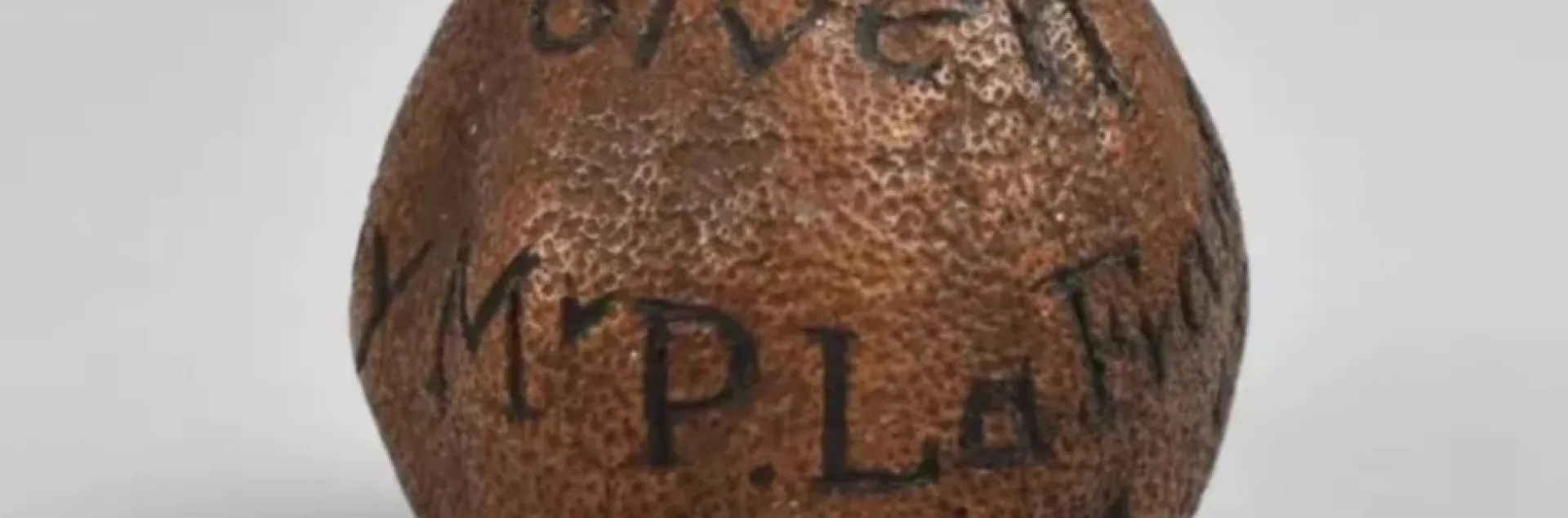 285 year old lemon