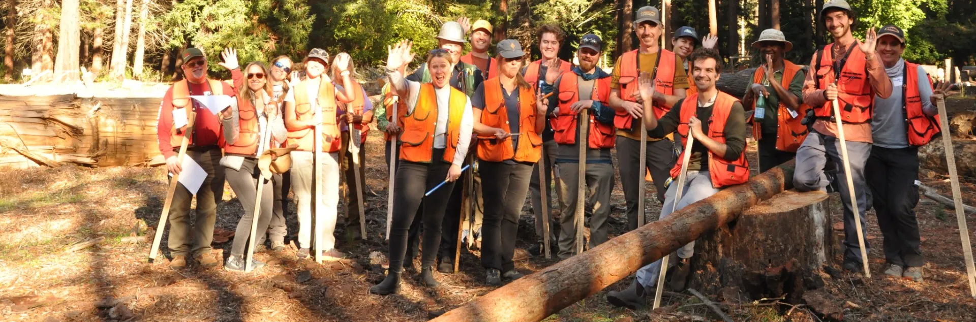 Forest Stewardship workshop participants at an in-person field day.