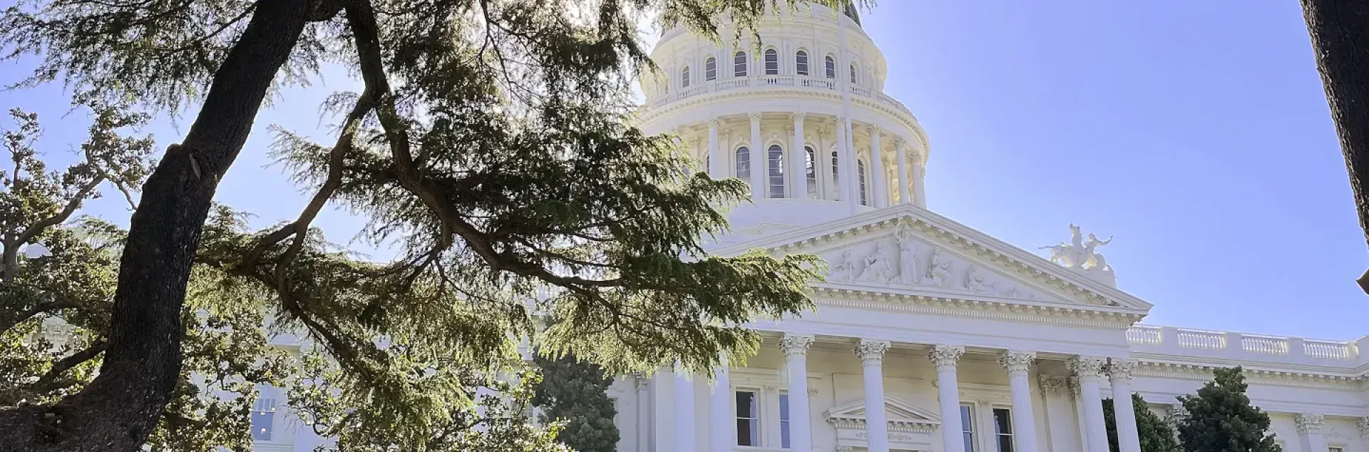 looking up at the capitol building
