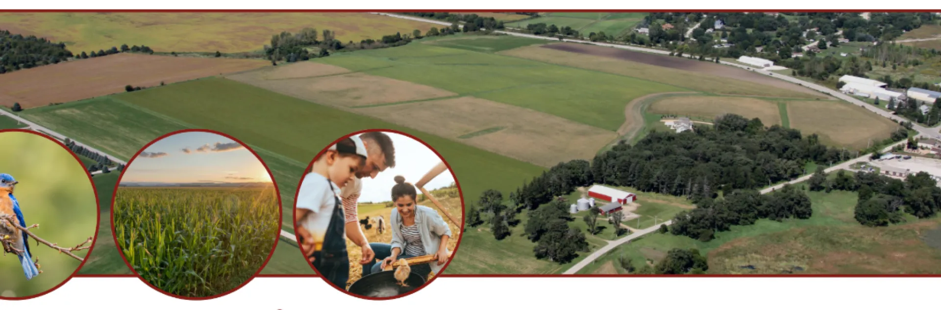 Fields, crops, farmers, and wildlife