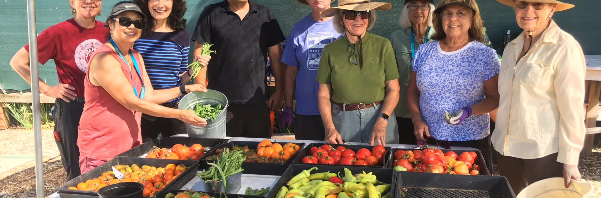 Volunteers at the Gardening Education Center