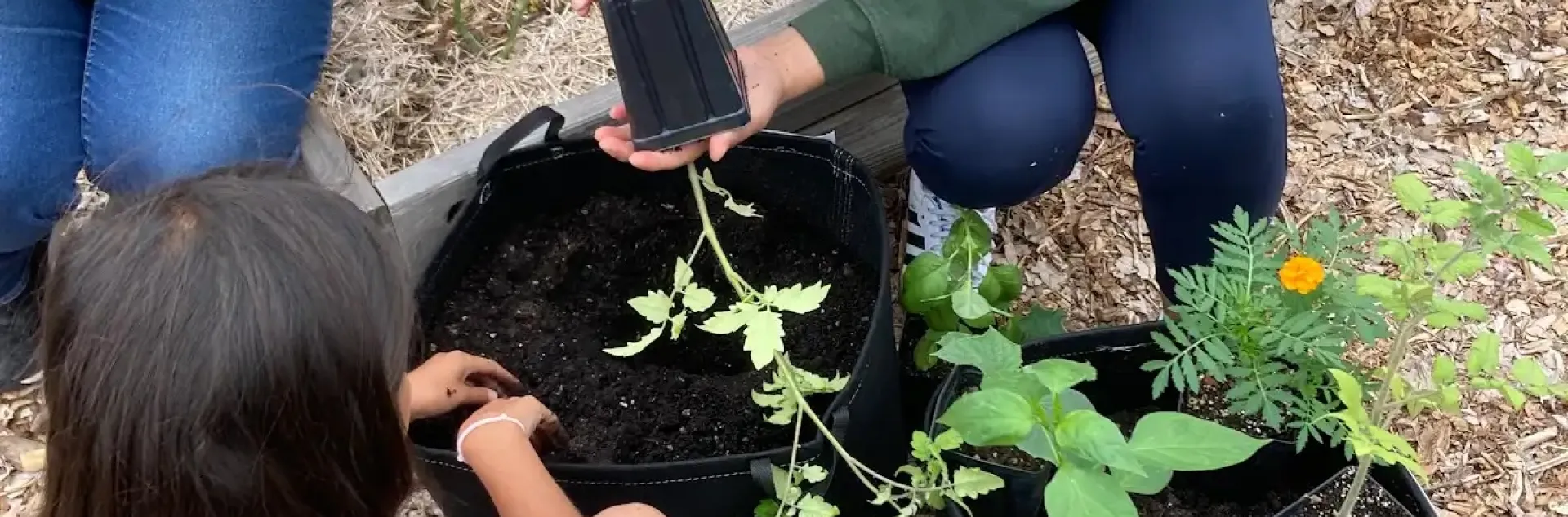 a family planting grow bags with vegetable starts 