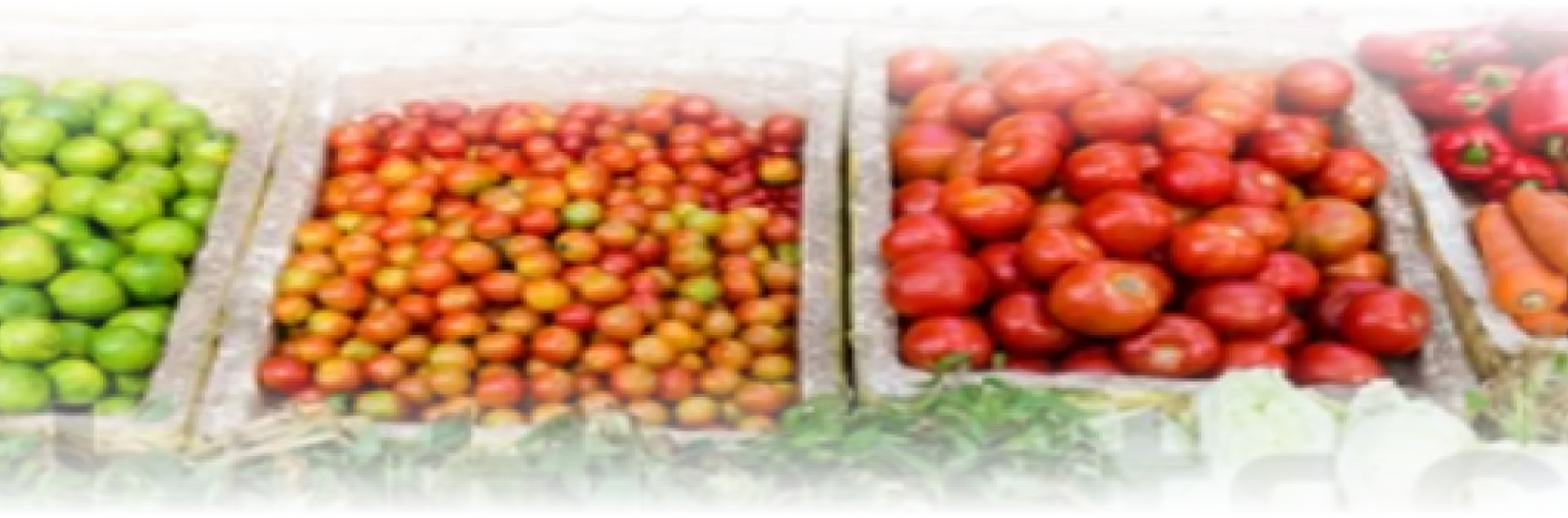 Farmers Market