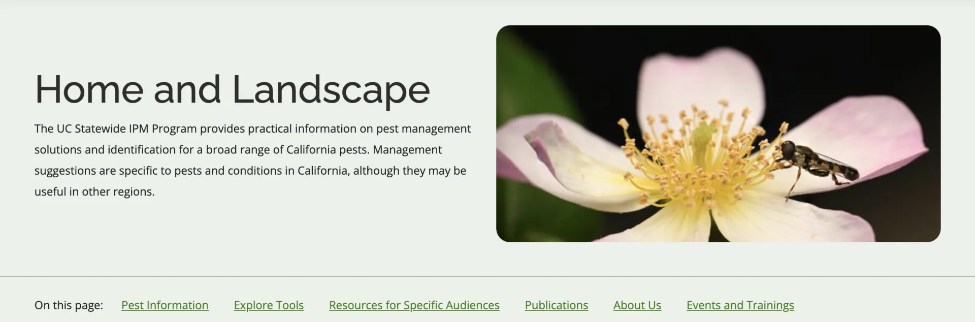 A screenshot of the UC IPM Home and Landscape home page.
