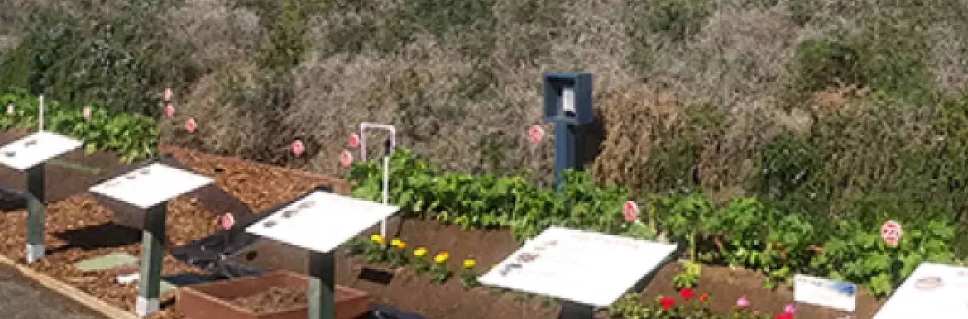 Ag Water Quality Demonstration