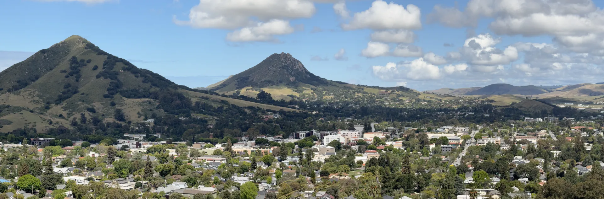 View of San Luis Obispo From Terrace Hill by Henry Main