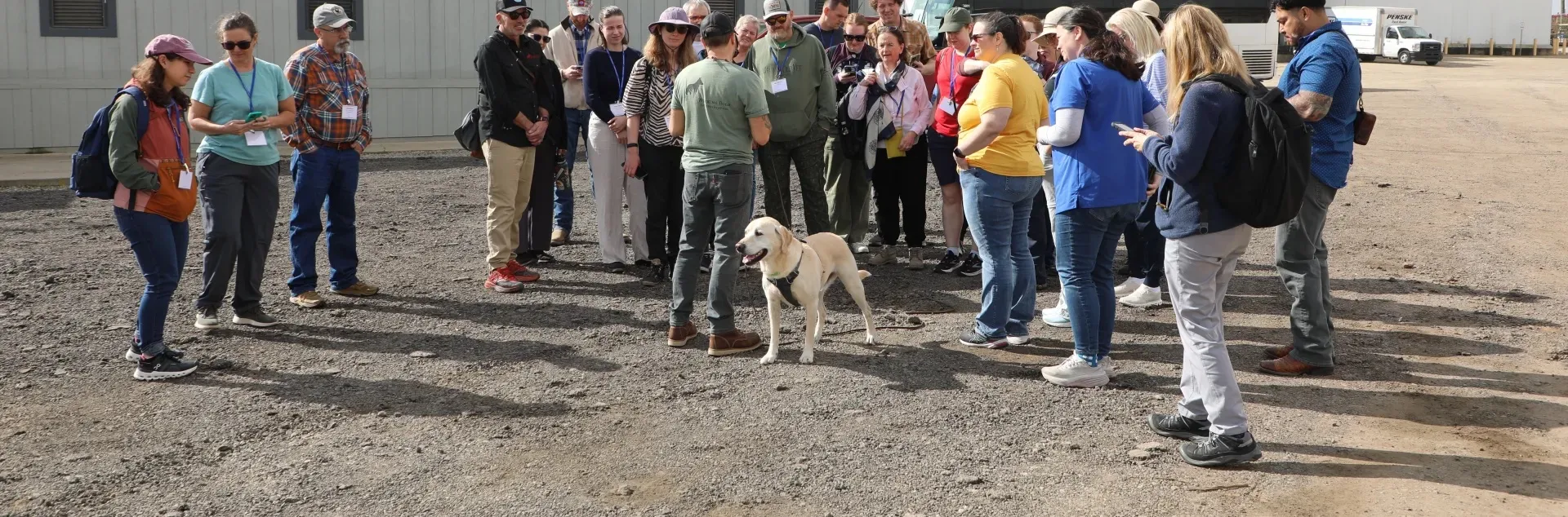 group of people standing around a dog and man during a demonstration