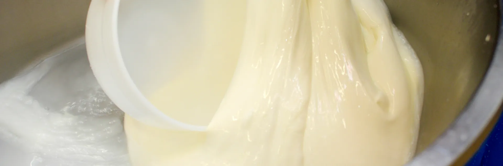 fresh mozzarella cheese being pulled out of hot whey with a ladle