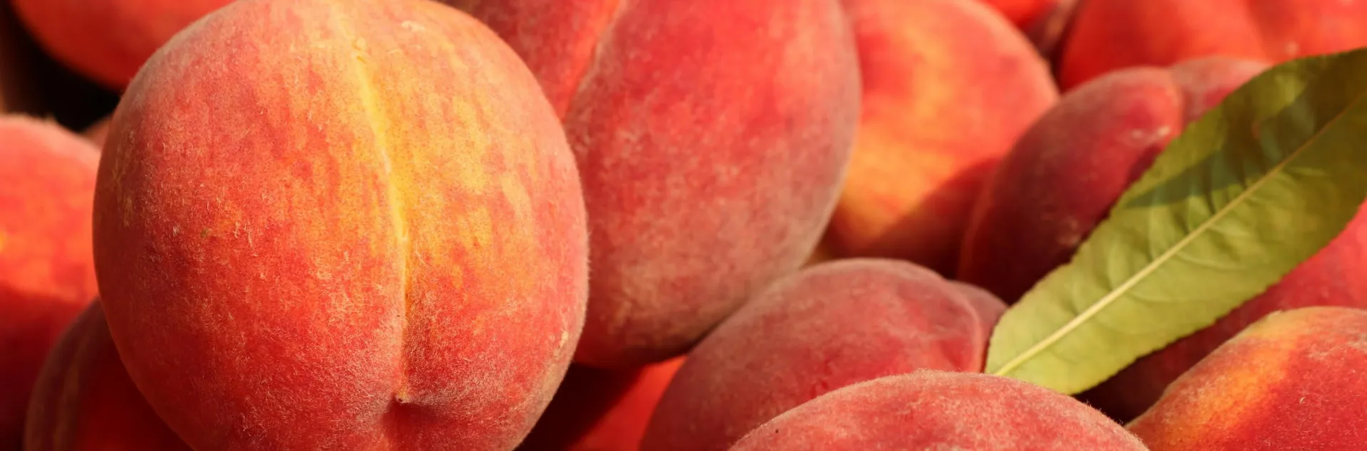 Peaches