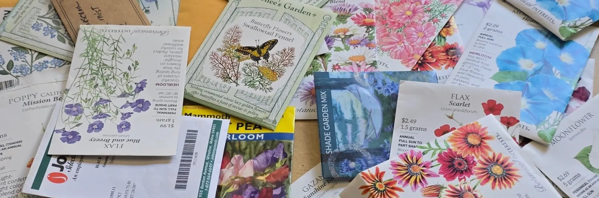 packets of seeds spread out on a table