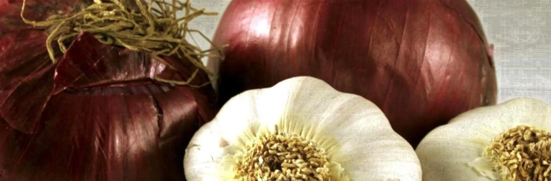Growing garlic and onions 
