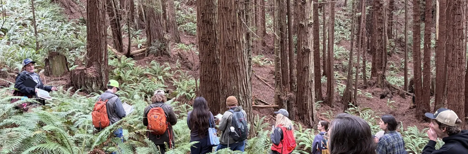 Tree School participants hike during an outdoor class.