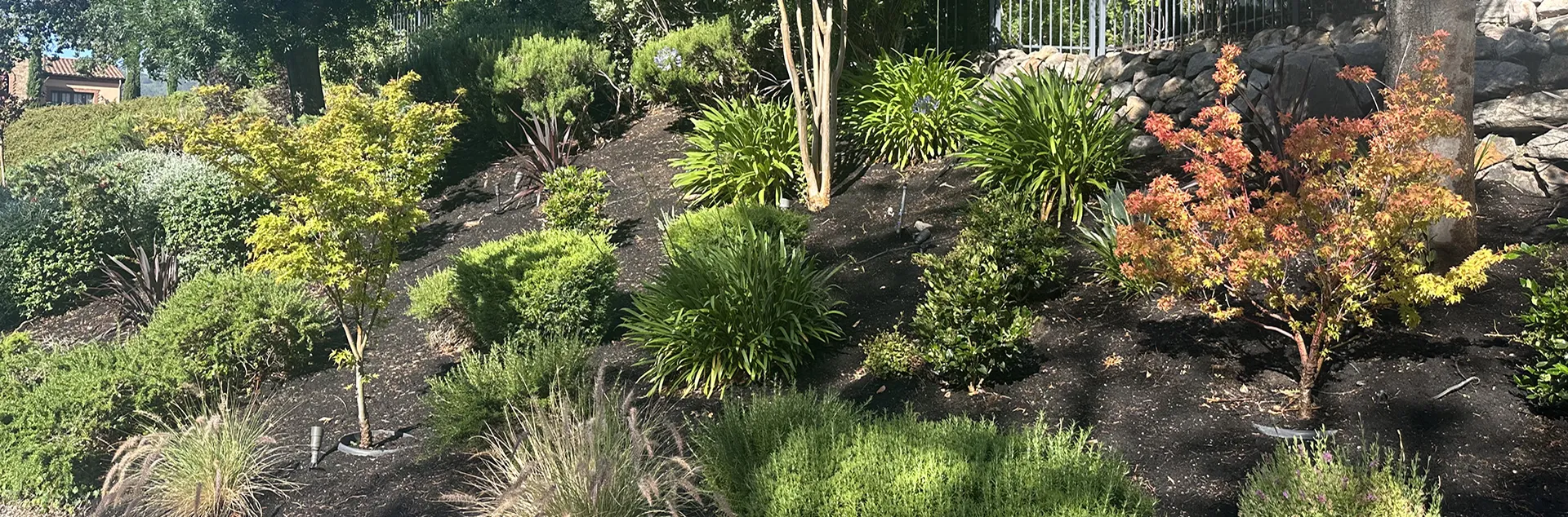 Banner image for Hillside Gardens