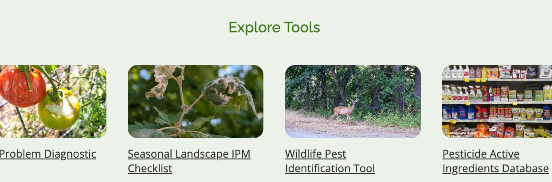 Four sections showcasing tools for pest management and identification with corresponding images. Transcribed Text reads: Plant Problem Diagnostic Tool: Identify 650+ plant pests, diseases, and abiotic problems across 300+ species by narrowing down issues by plant and affected part. Seasonal Landscape IPM Checklist: A monthly IPM checklist helping landscape professionals and gardeners manage common ornamental and fruit tree plant pests with a list of actions. Wildlife Pest Identification Tool: Identify Calif
