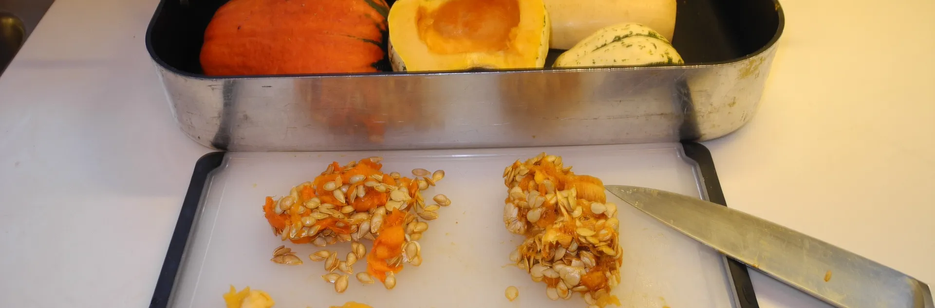 Seeds from Lakota, Butternut and Acorn squashes ready to wash and save for sharing and growing