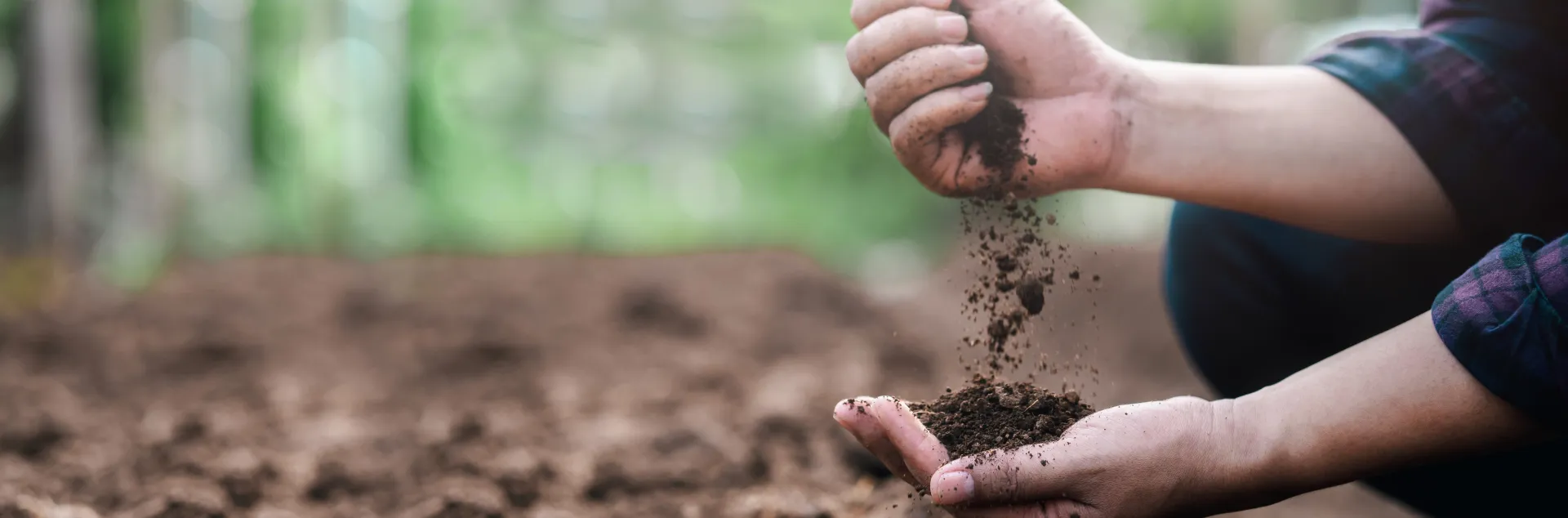 Closeup of a hand pouring soil into another open hand. There is a blurry green background.