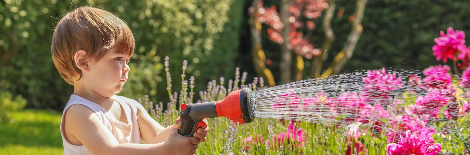 Banner image for water Conservation