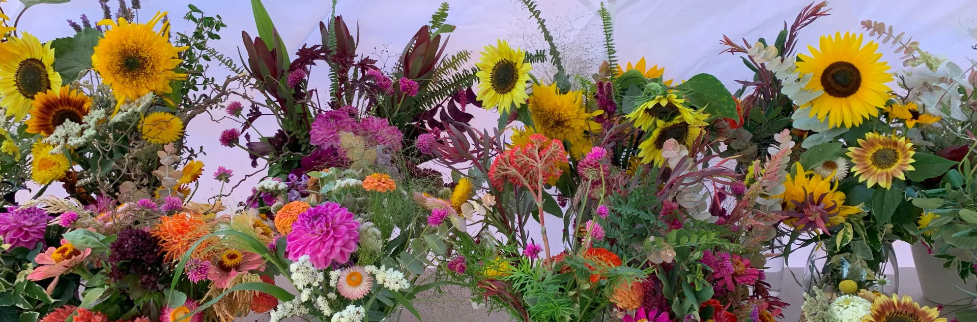 cut flowers in vases