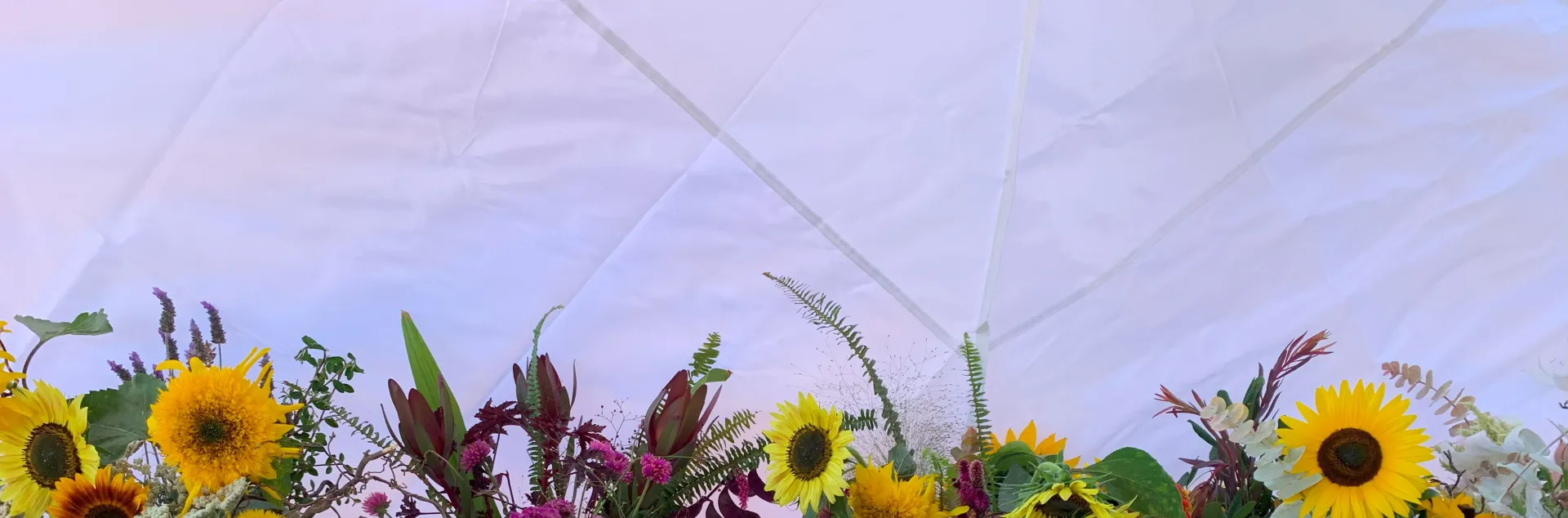 A variety of colorful cut flowers in vases