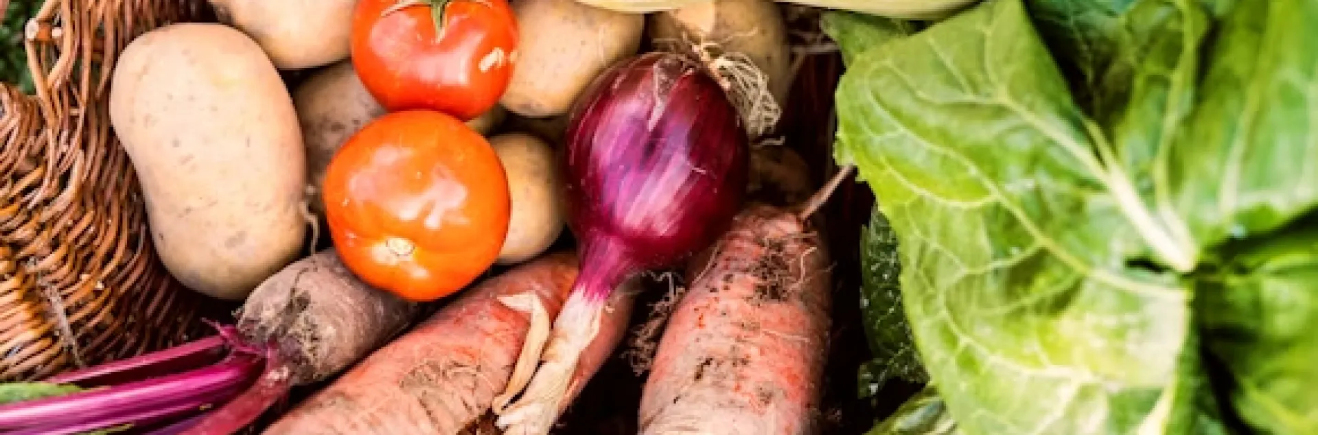 Basket of home grown vegetables