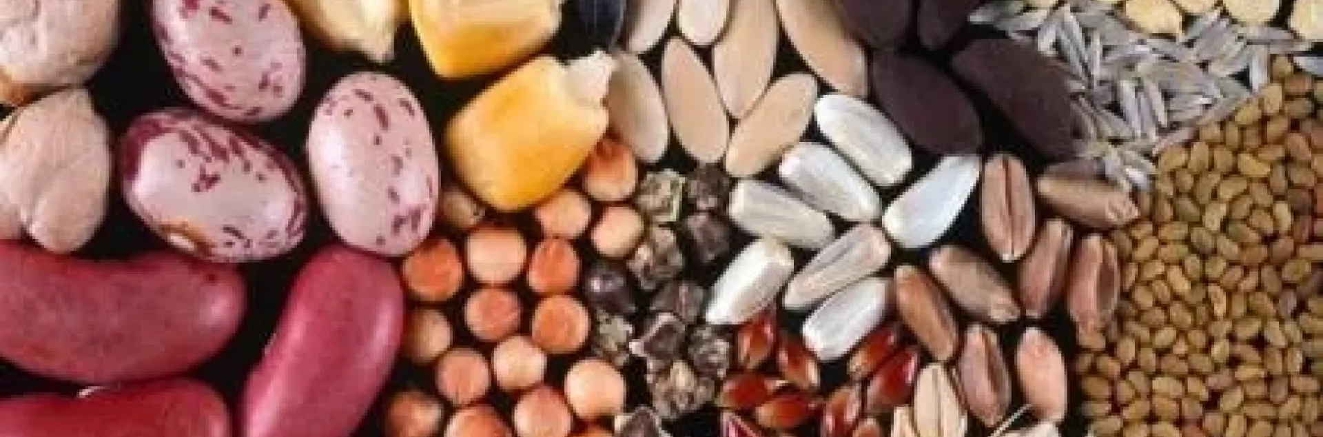 seed saving