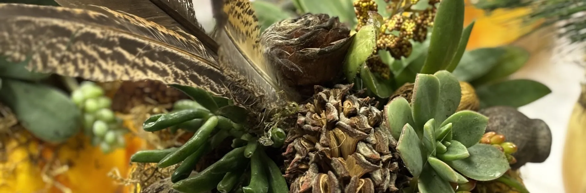 holiday decorations using succulents