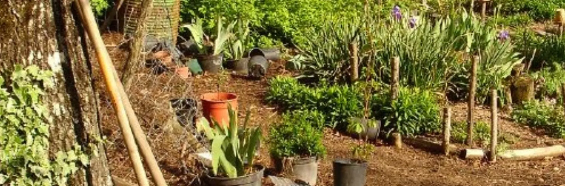 Permaculture