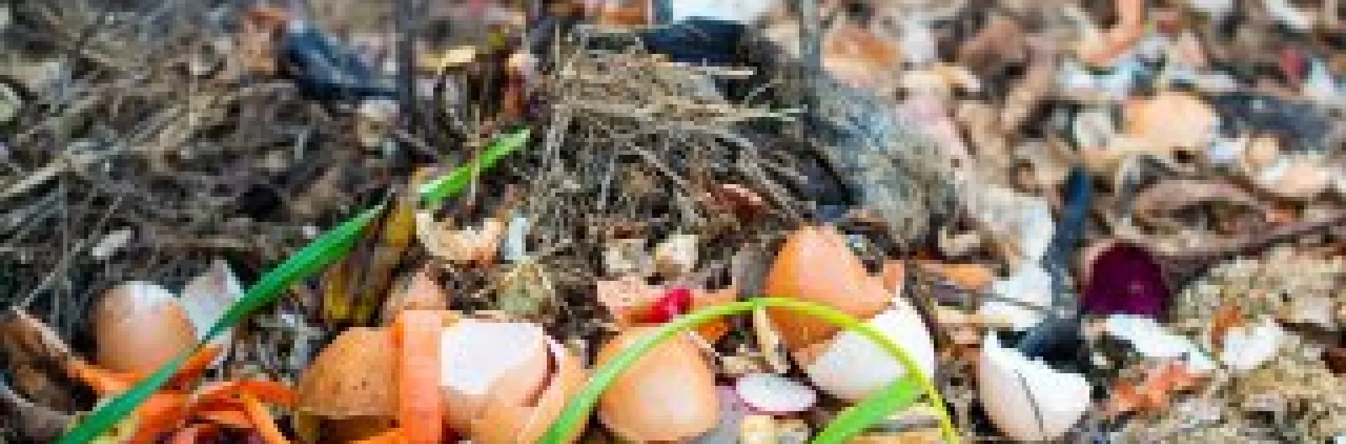 Backyard Composting