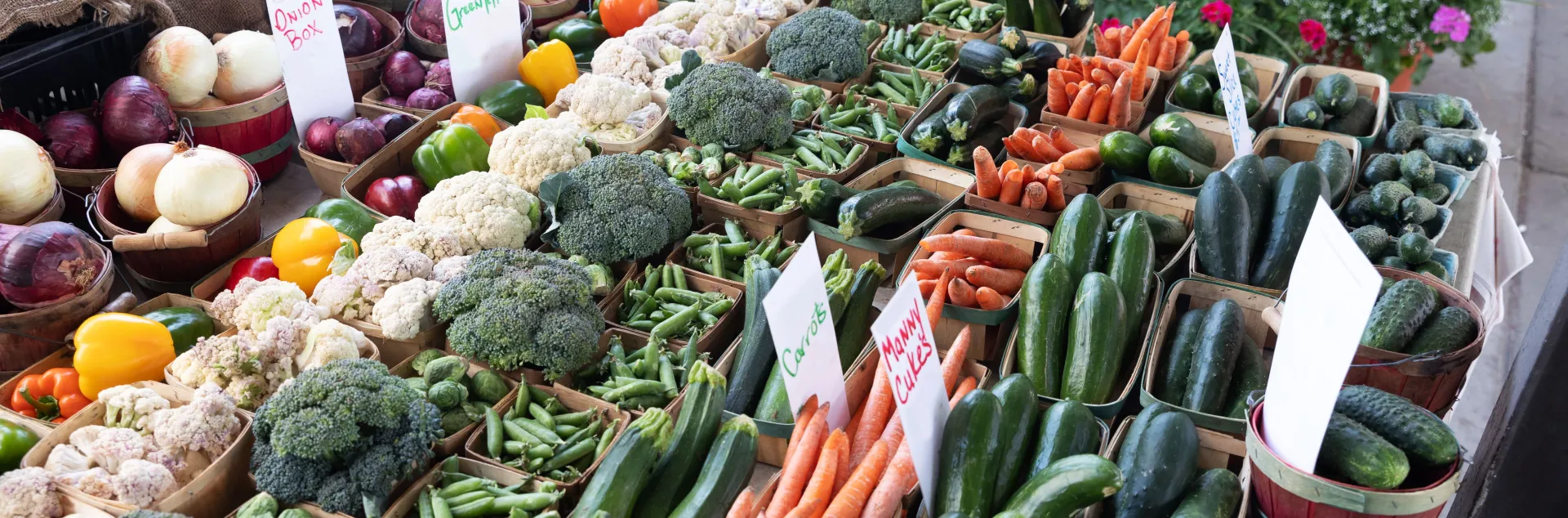Produce in rows at a farm stand
