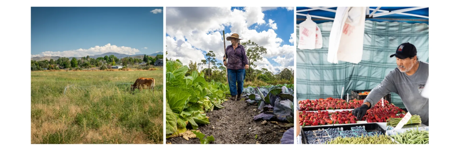 Three business builder award recipients representing their farm or food business.