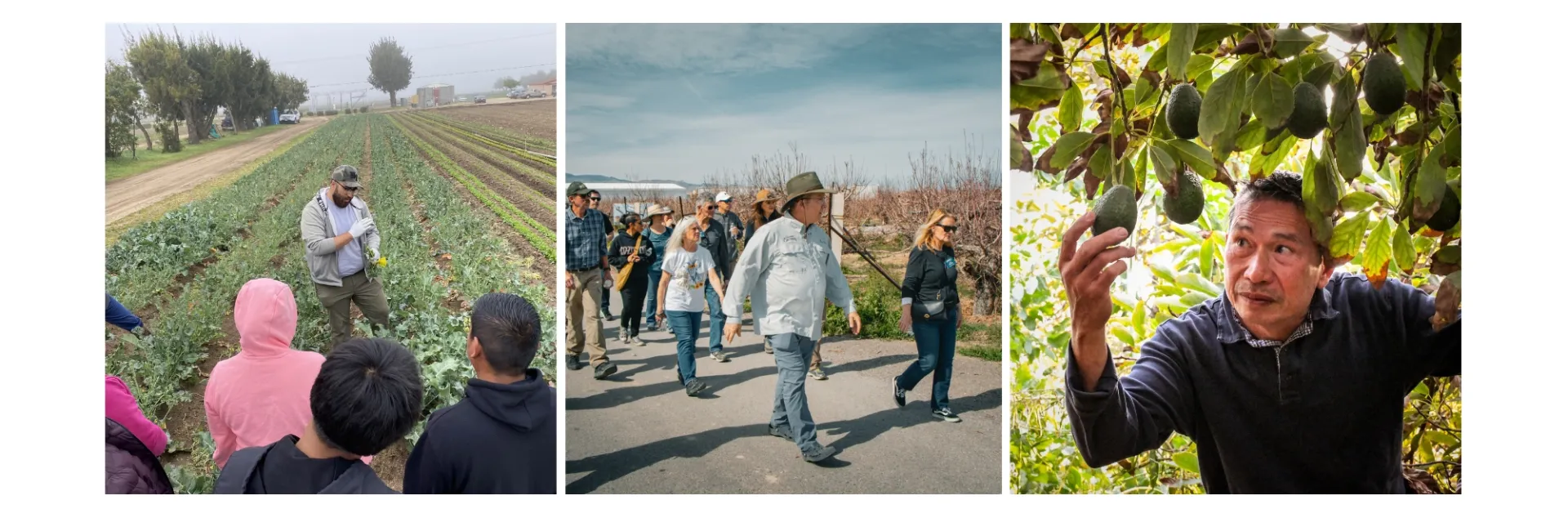 Three food and farm entrepreneurs representing the diverse client mix of the Southwest Regional Food Business Center