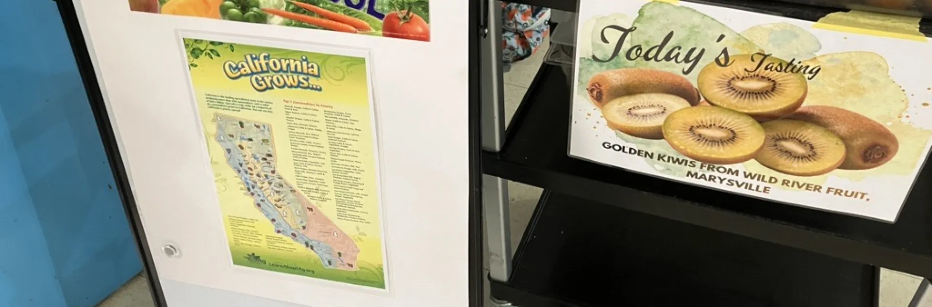 A bin of fresh golden kiwis set up on a cart in a school cafeteria. One sign reads "California Grows" and shows the state another sign reads "Today's tasting, Golden Kiwis from Wild River Fruit" 