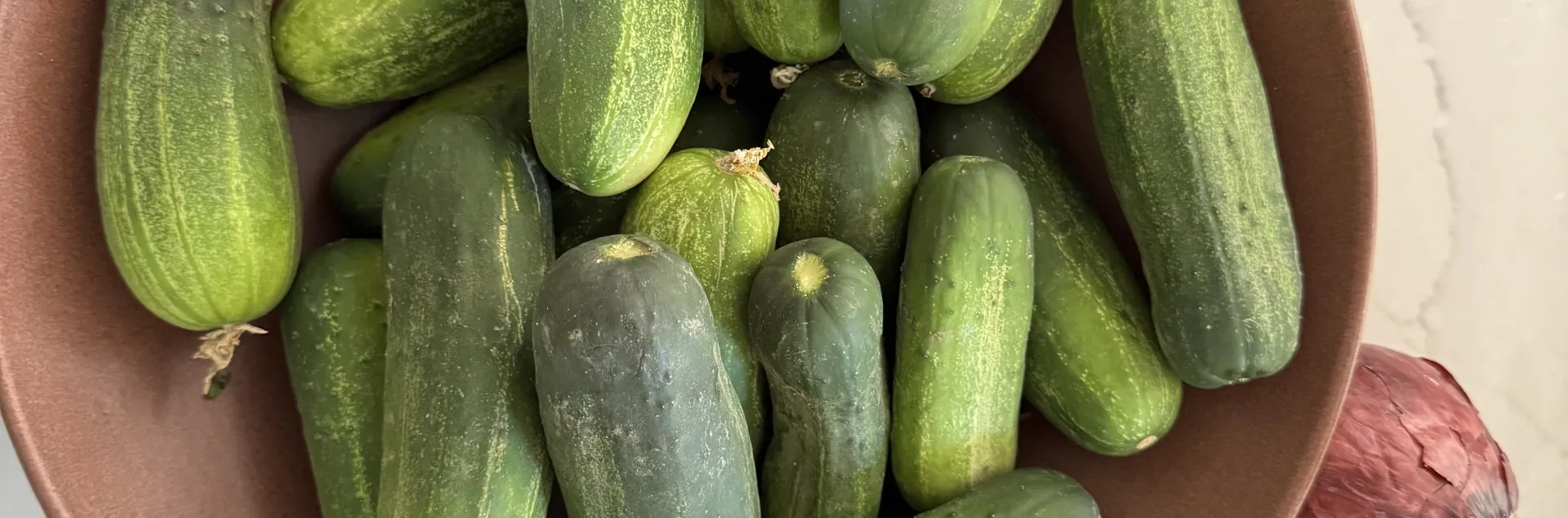 over a dozen small bumpy cucumbers in a bowl, three small red onions on the table outside the bowl