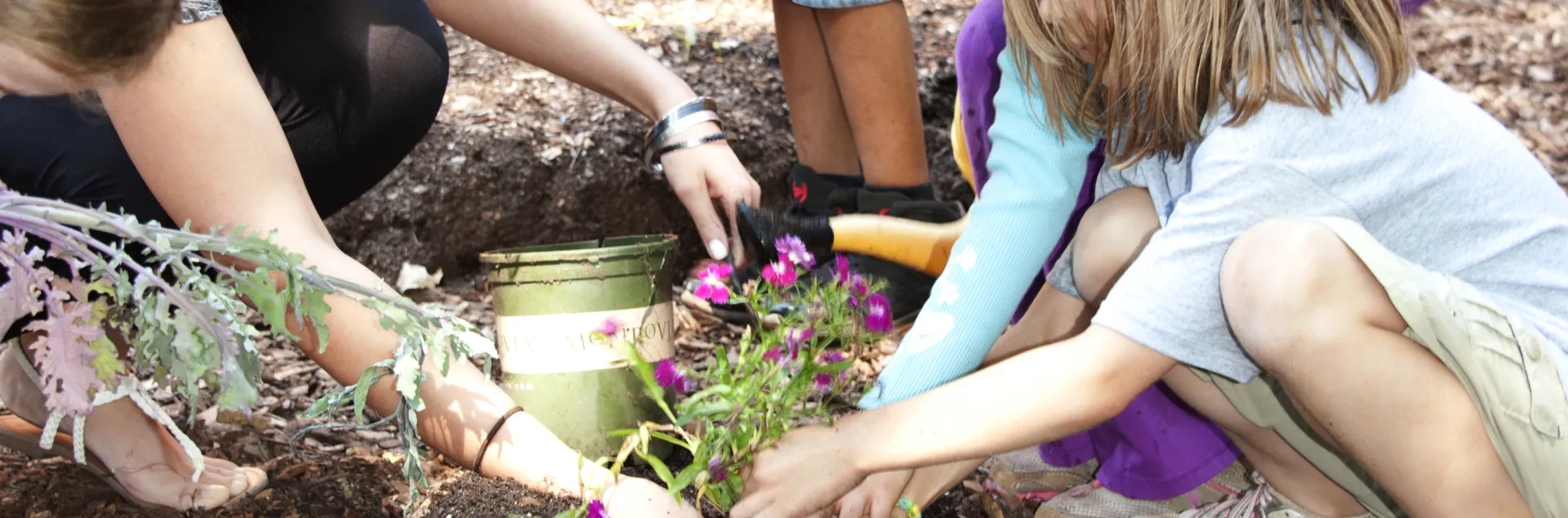 Two school children help their teacher plant a seedling in the soil at their school garden.