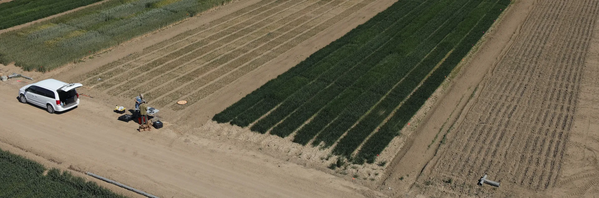 Aerial view of fields showing differences in growth of various winter grain crops under different irrigation