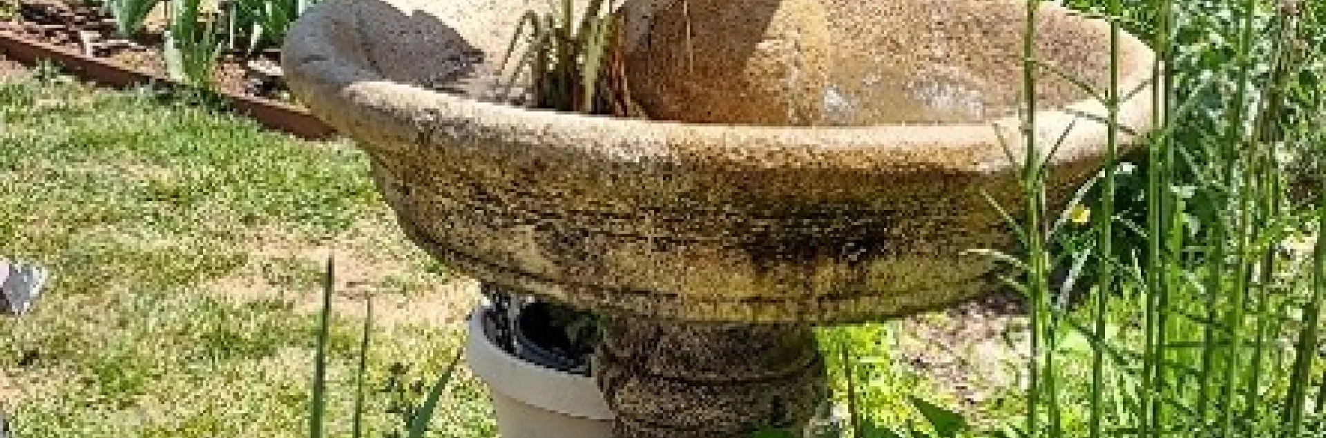 Picture of a multi-tiered cement fountain in a garden.
